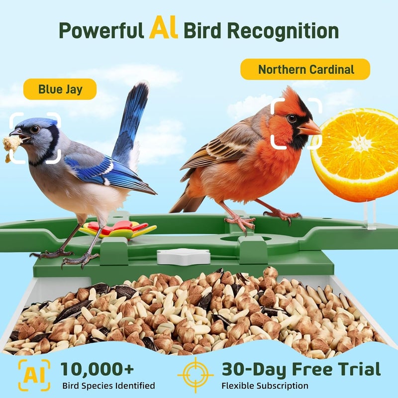 INKCKU Smart Bird Feeder with Camera, Solar Powered WiFi WildBird Watching Camera with AI Bird Recognition, 2K Auto Capture, Vicohome App Alerts, Outdoor Garden Decor Gift for Dad Mom BirdLovers (Green) - Image 2